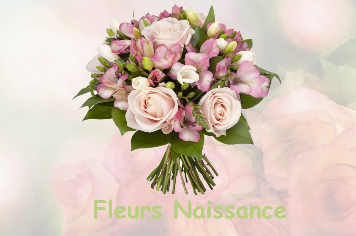fleurs naissance LE-FRESNE-SUR-LOIRE